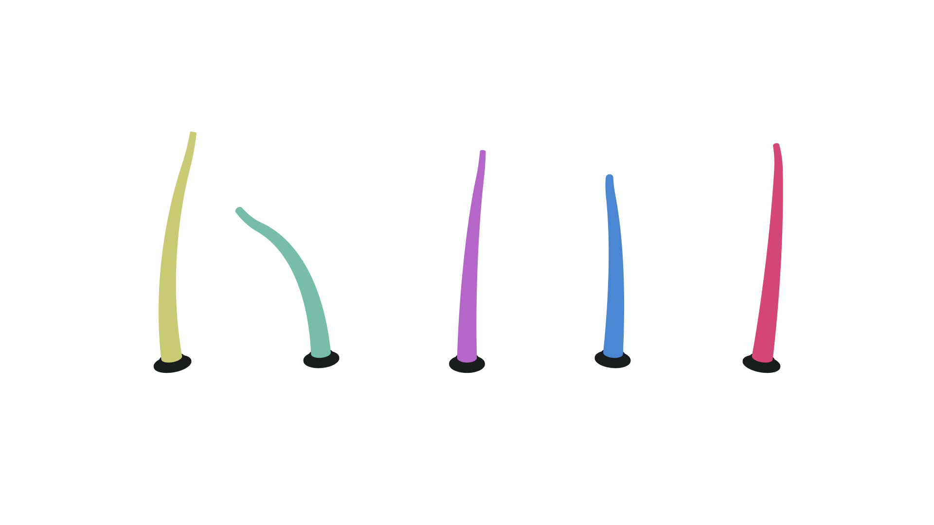 flat Viser